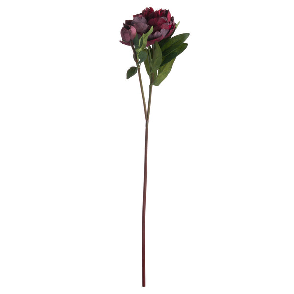 Burgundy Peony Rose - Canwell Interiors Limited - Hills