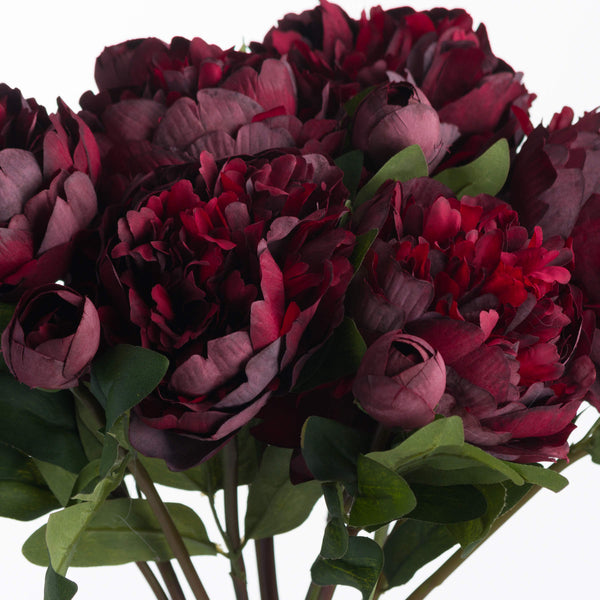 Burgundy Peony Rose - Canwell Interiors Limited - Hills