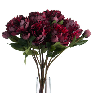Burgundy Peony Rose - Canwell Interiors Limited - Hills