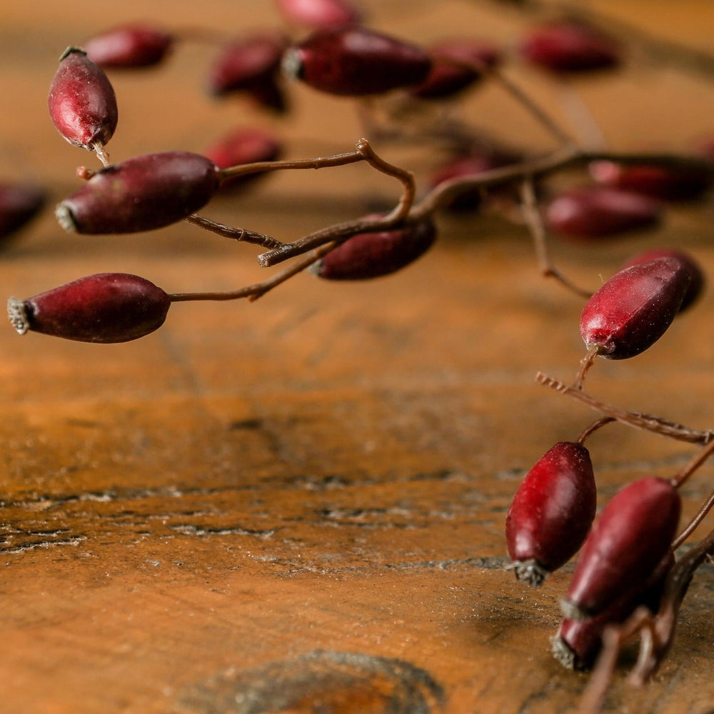 Burgundy Rosehip Stem - Canwell Interiors Limited - Hills