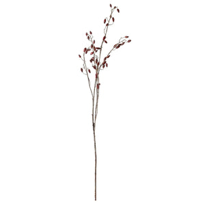 Burgundy Rosehip Stem - Canwell Interiors Limited - Hills