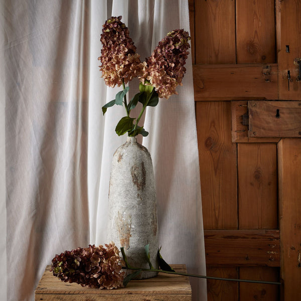 Burgundy Spear Hydrangea - Canwell Interiors Limited - Hills