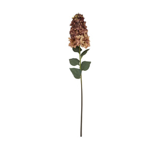Burgundy Spear Hydrangea - Canwell Interiors Limited - Hills
