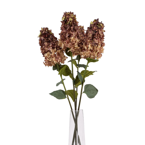 Burgundy Spear Hydrangea - Canwell Interiors Limited - Hills