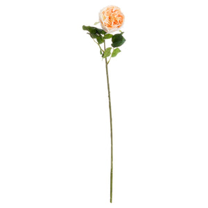 Butter Portland Rose - Canwell Interiors Limited - Hills
