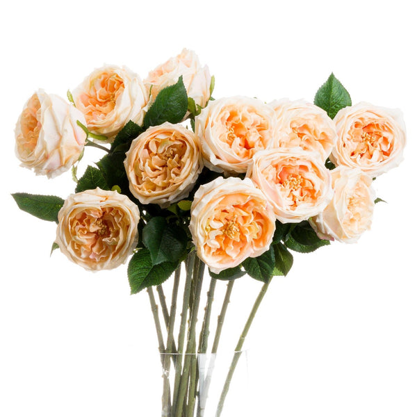 Butter Portland Rose - Canwell Interiors Limited - Hills