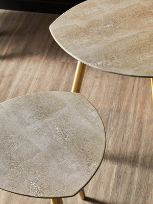 Cadio Set Of Two Shagreen Tables - Canwell Interiors Limited - Xshowhome
