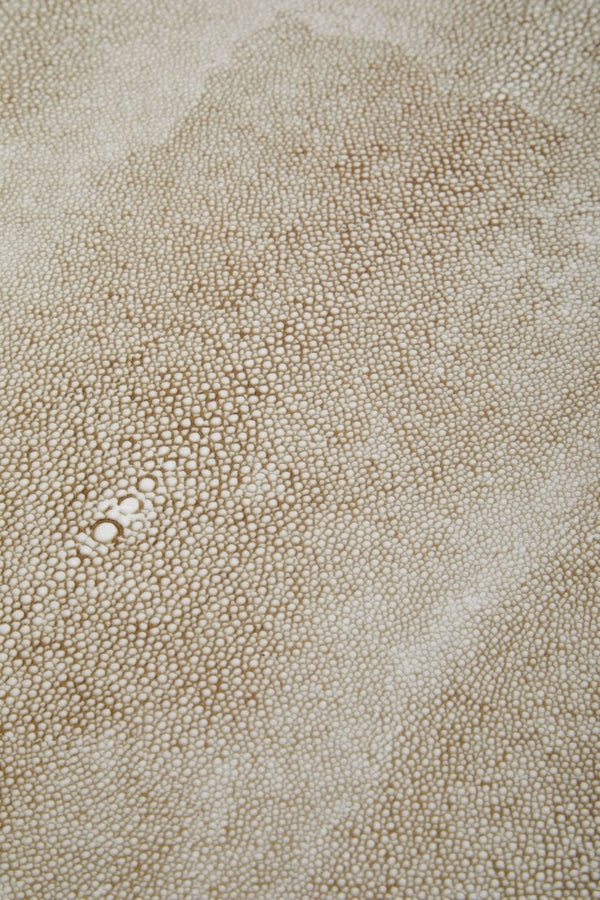 Cadio Set Of Two Shagreen Tables - XShowhome Limited - Xshowhome