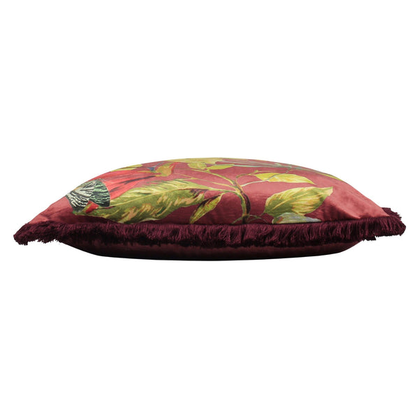Cahala 50x50 Feather Filled Cushion Berry - Canwell Interiors Limited - Riva