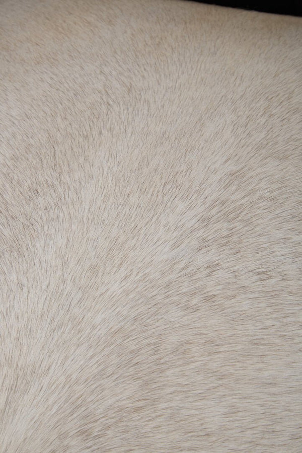 Cala Black Textured Armchair with Tufted Back - Canwell Interiors Limited - Xshowhome