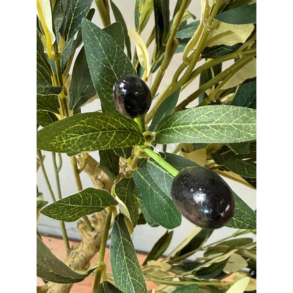 Calabria Olive Tree - Canwell Interiors Limited - Hills