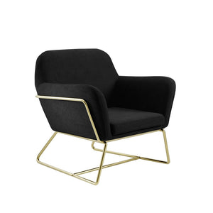 Charles Armchair Sage Velvet & Matte Black - Canwell Interiors Limited - Canwell