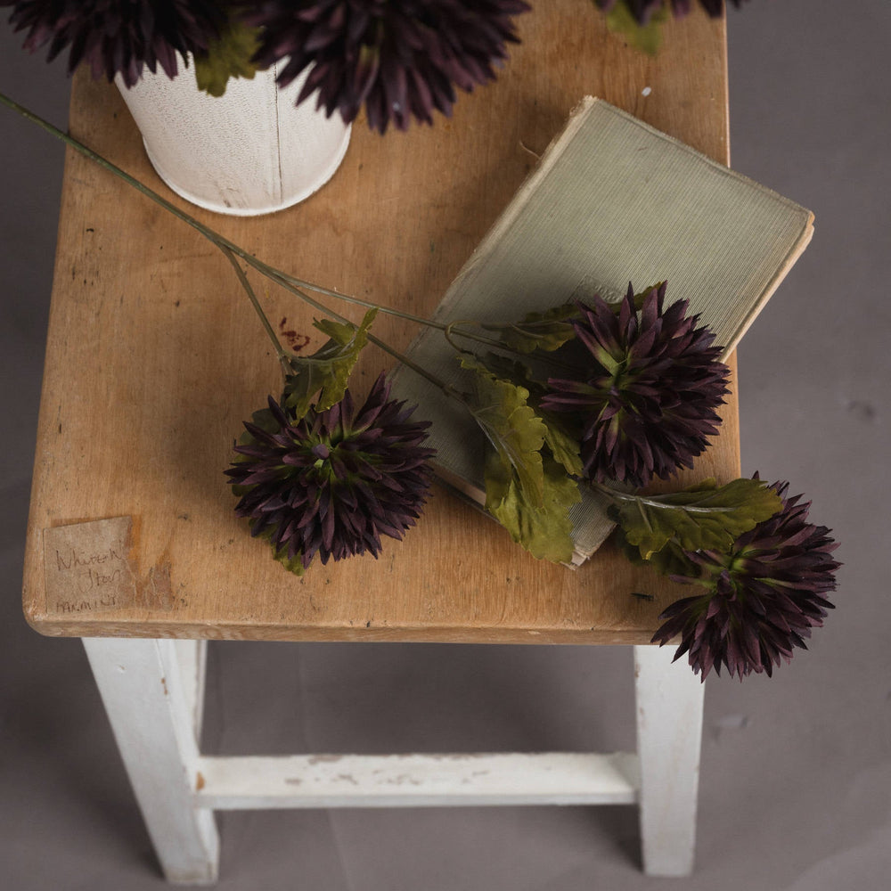 Chocolate Chrysanthemum - Canwell Interiors Limited - Hills