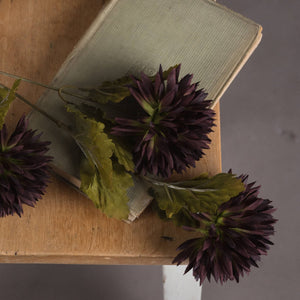 Chocolate Chrysanthemum - Canwell Interiors Limited - Hills