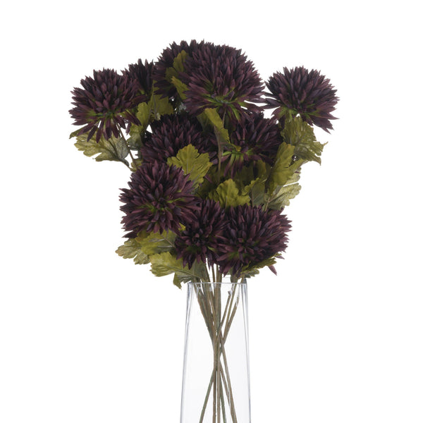 Chocolate Chrysanthemum - Canwell Interiors Limited - Hills