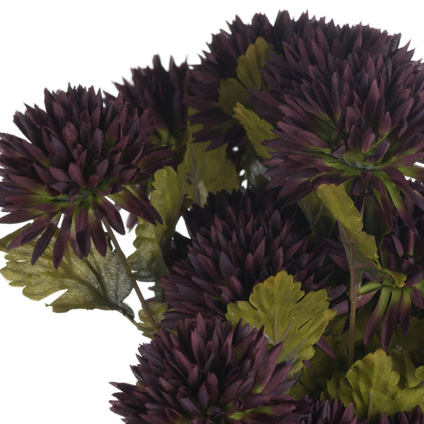 Chocolate Chrysanthemum - Canwell Interiors Limited - Hills