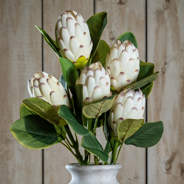 Closed White Protea - Canwell Interiors Limited - Hills