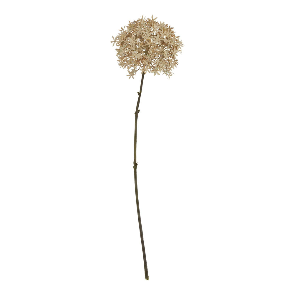 Coffee Allium - Canwell Interiors Limited - Hills