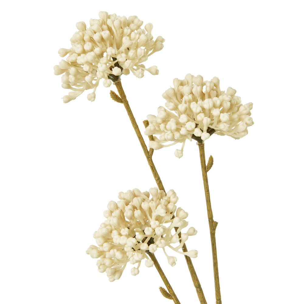 Cream Allium Spray - Canwell Interiors Limited - Hills