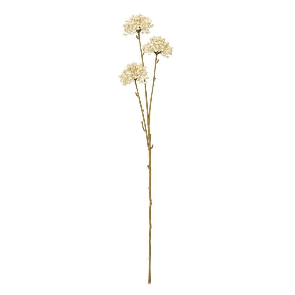 Cream Allium Spray - Canwell Interiors Limited - Hills
