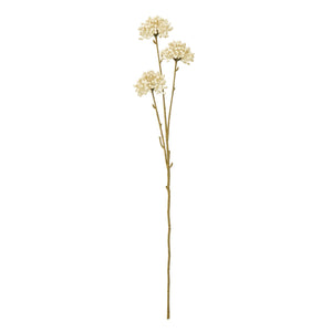 Cream Allium Spray - Canwell Interiors Limited - Hills