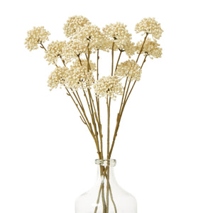 Cream Allium Spray - Canwell Interiors Limited - Hills