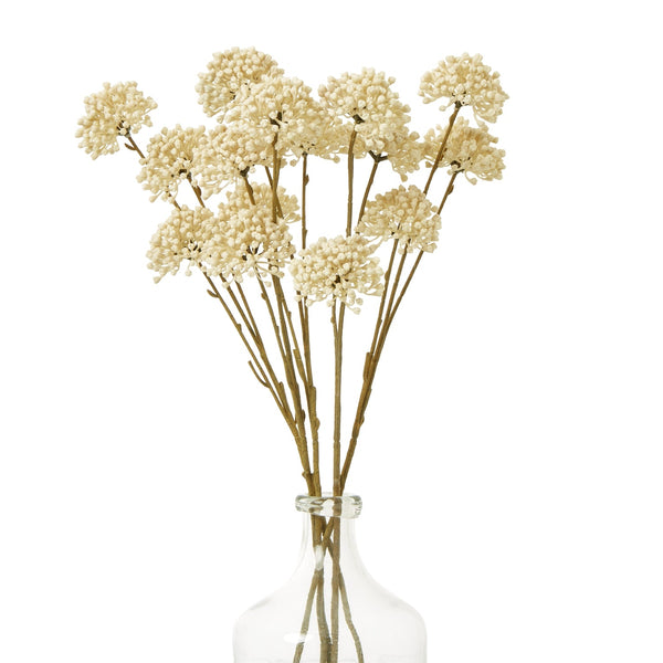 Cream Allium Spray - Canwell Interiors Limited - Hills