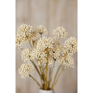 Cream Allium Spray - Canwell Interiors Limited - Hills