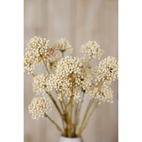 Cream Allium Spray - Canwell Interiors Limited - Hills