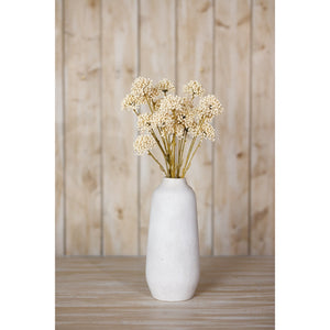 Cream Allium Spray - Canwell Interiors Limited - Hills
