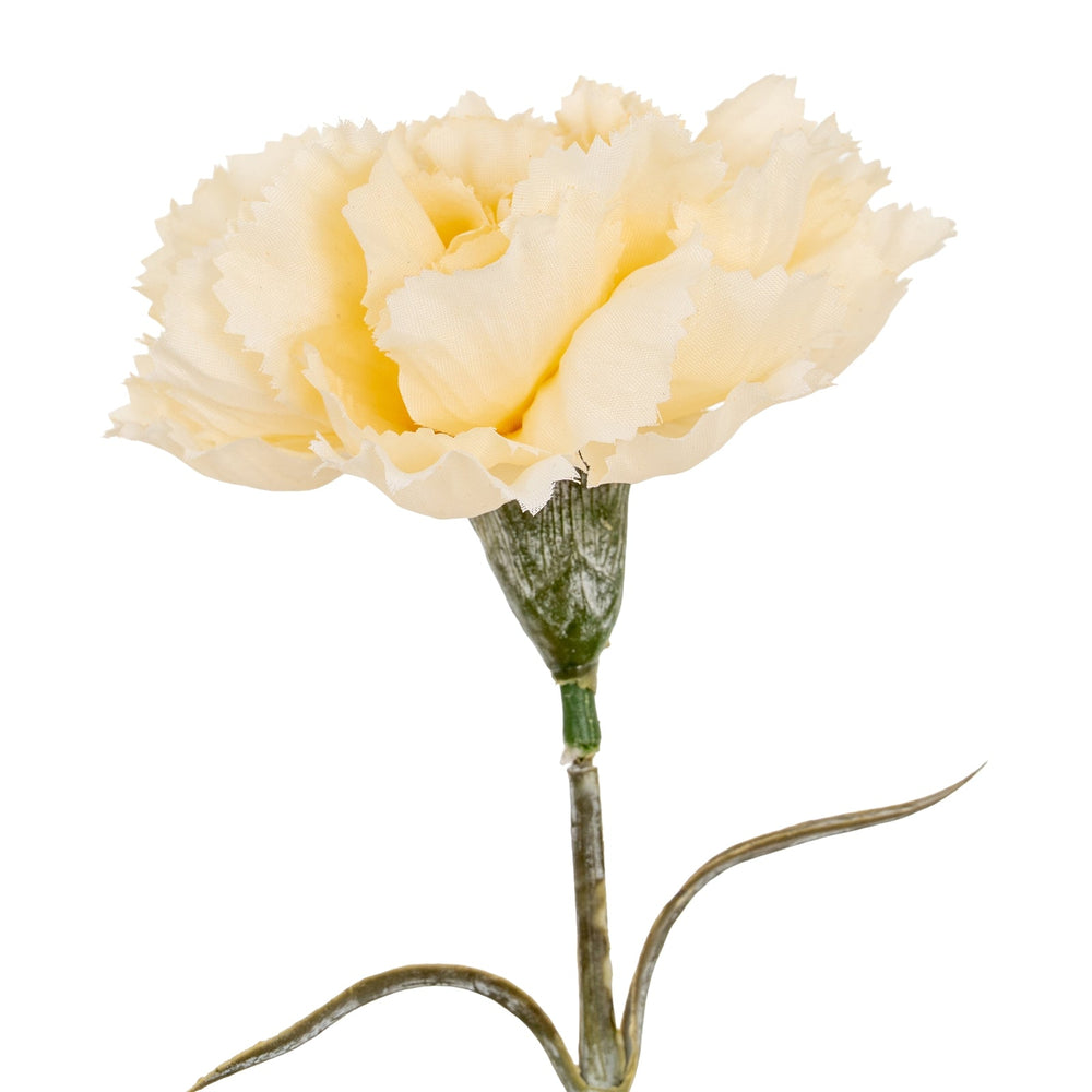 Cream Carnation Stem - Canwell Interiors Limited - Hills