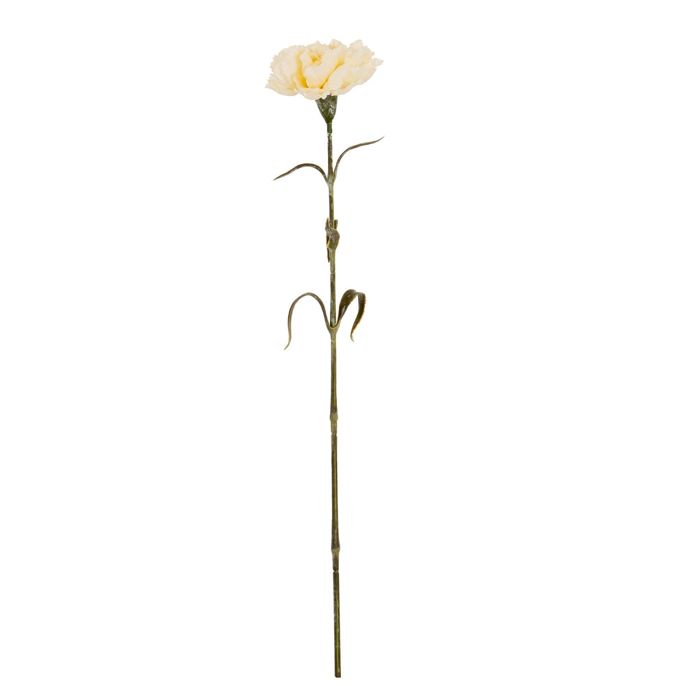 Cream Carnation Stem - Canwell Interiors Limited - Hills