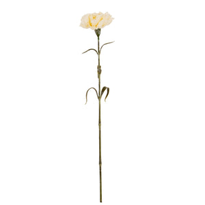 Cream Carnation Stem - Canwell Interiors Limited - Hills