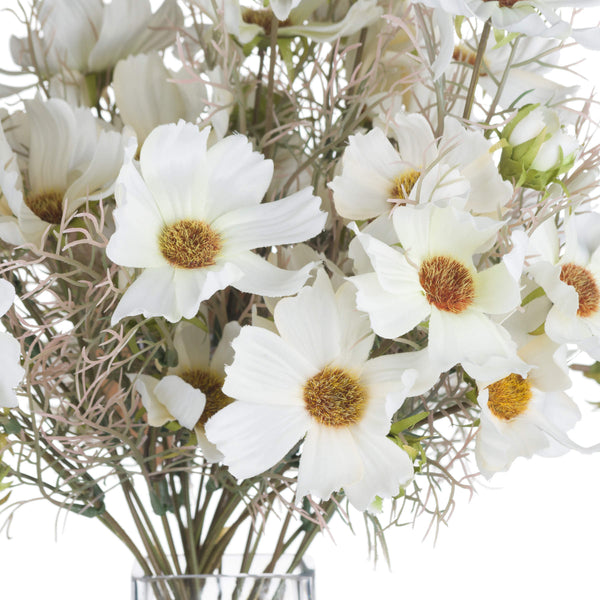 Cream Cosmos Spray - Canwell Interiors Limited - Hills