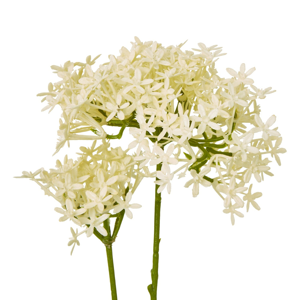 Cream Crown Hydrangea Stem - Canwell Interiors Limited - Hills