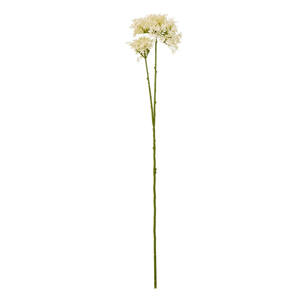 Cream Crown Hydrangea Stem - Canwell Interiors Limited - Hills