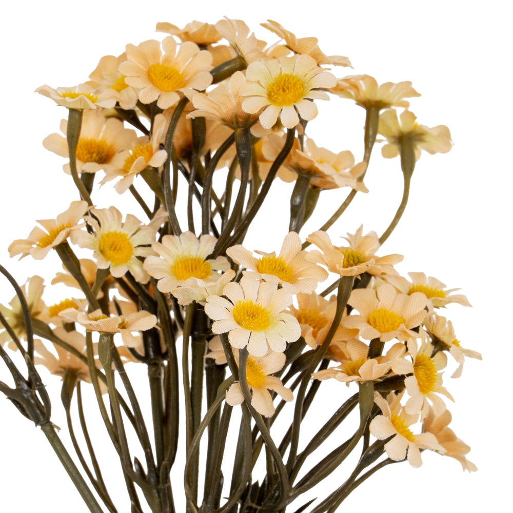 Cream Daisy Bunch - Canwell Interiors Limited - Hills