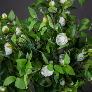 Cream Gardenia Stem - Canwell Interiors Limited - Hills