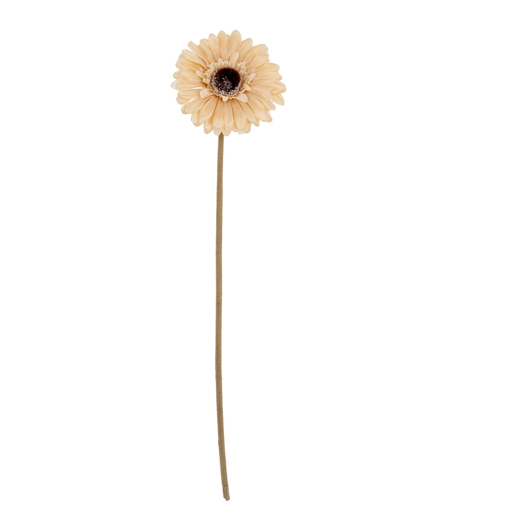 Cream Gerbera Stem - Canwell Interiors Limited - Hills