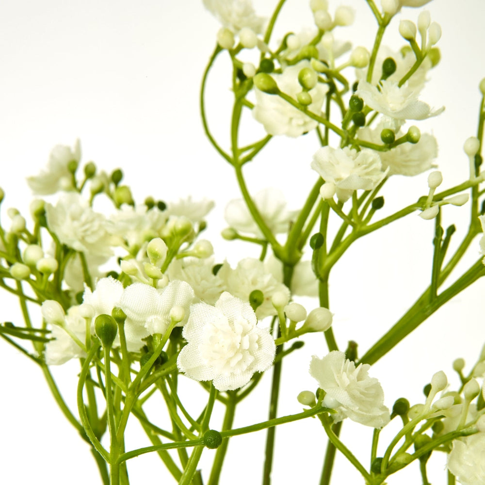 Cream Gypsophila Stem - Canwell Interiors Limited - Hills