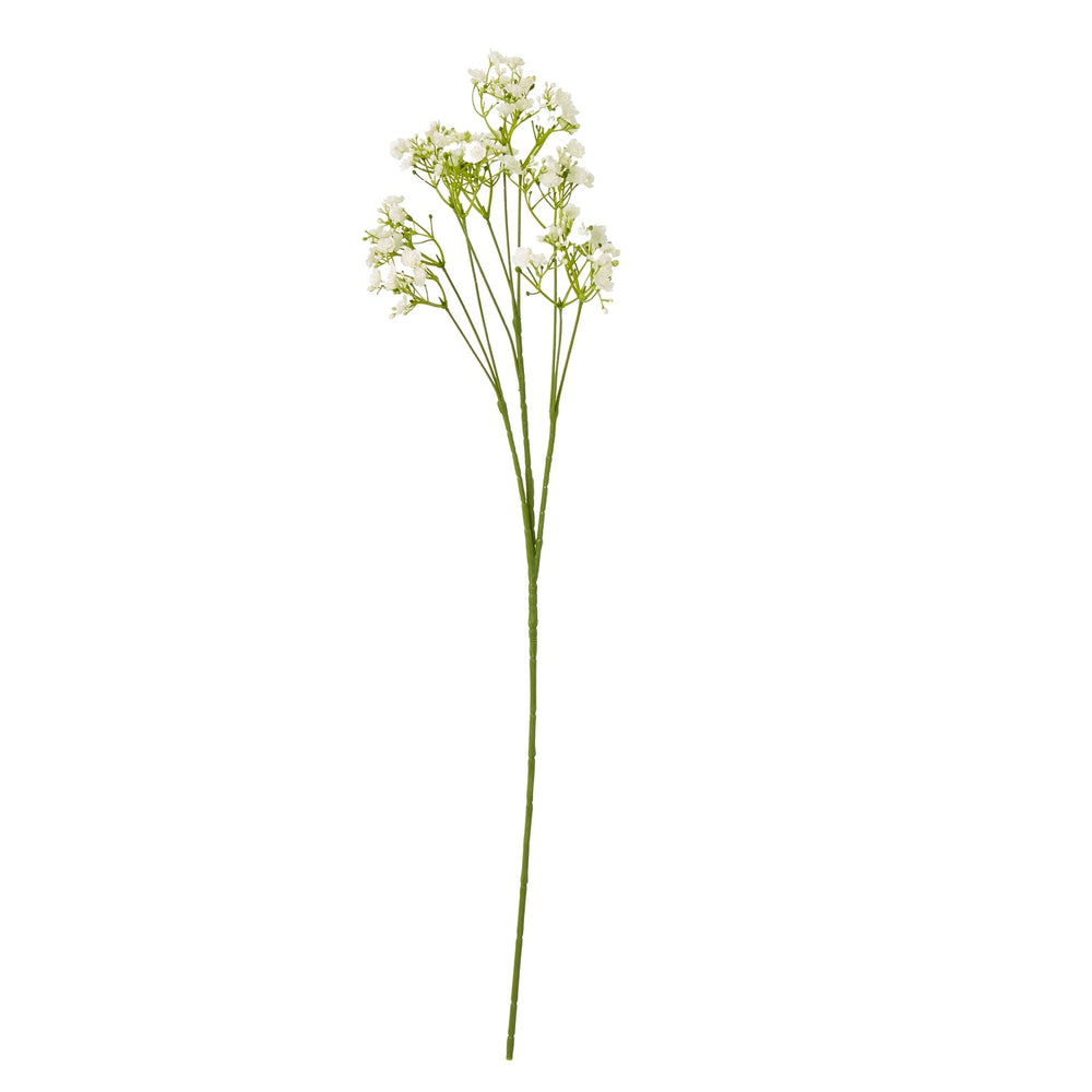 Cream Gypsophila Stem - Canwell Interiors Limited - Hills