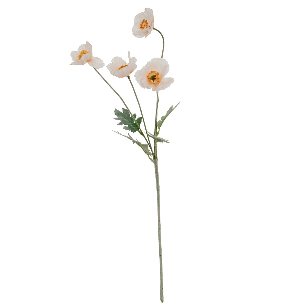 Cream Papaver Poppy Spray - Canwell Interiors Limited - Hills