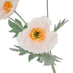 Cream Papaver Poppy Spray - Canwell Interiors Limited - Hills