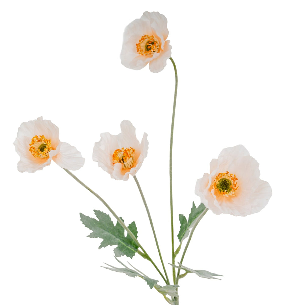 Cream Papaver Poppy Spray - Canwell Interiors Limited - Hills