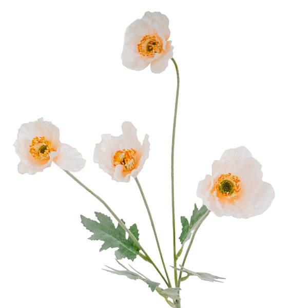 Cream Papaver Poppy Spray - Canwell Interiors Limited - Hills