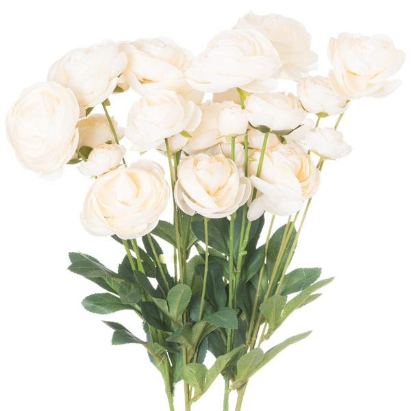 Cream Ranunculus - Canwell Interiors Limited - Hills
