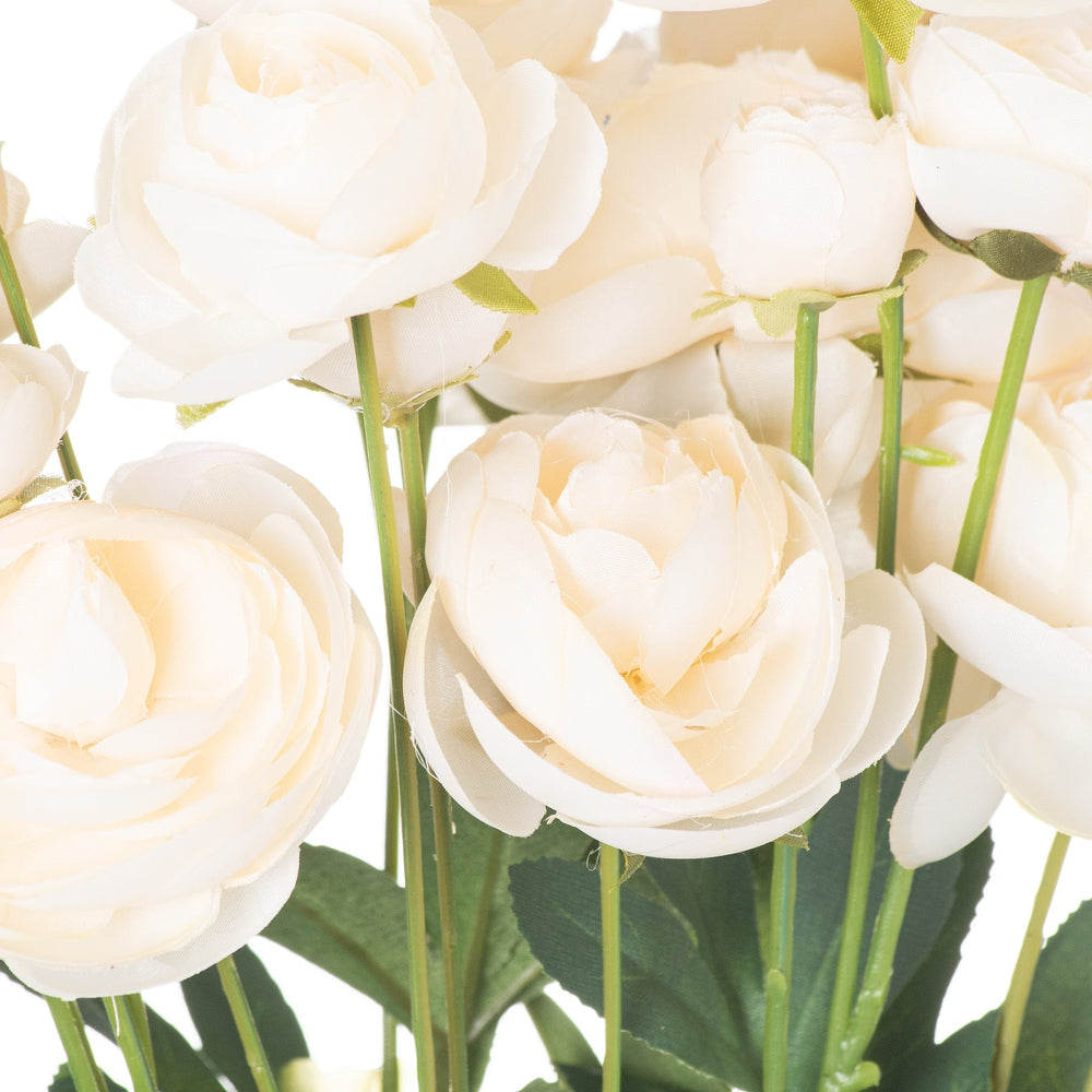 Cream Ranunculus - Canwell Interiors Limited - Hills