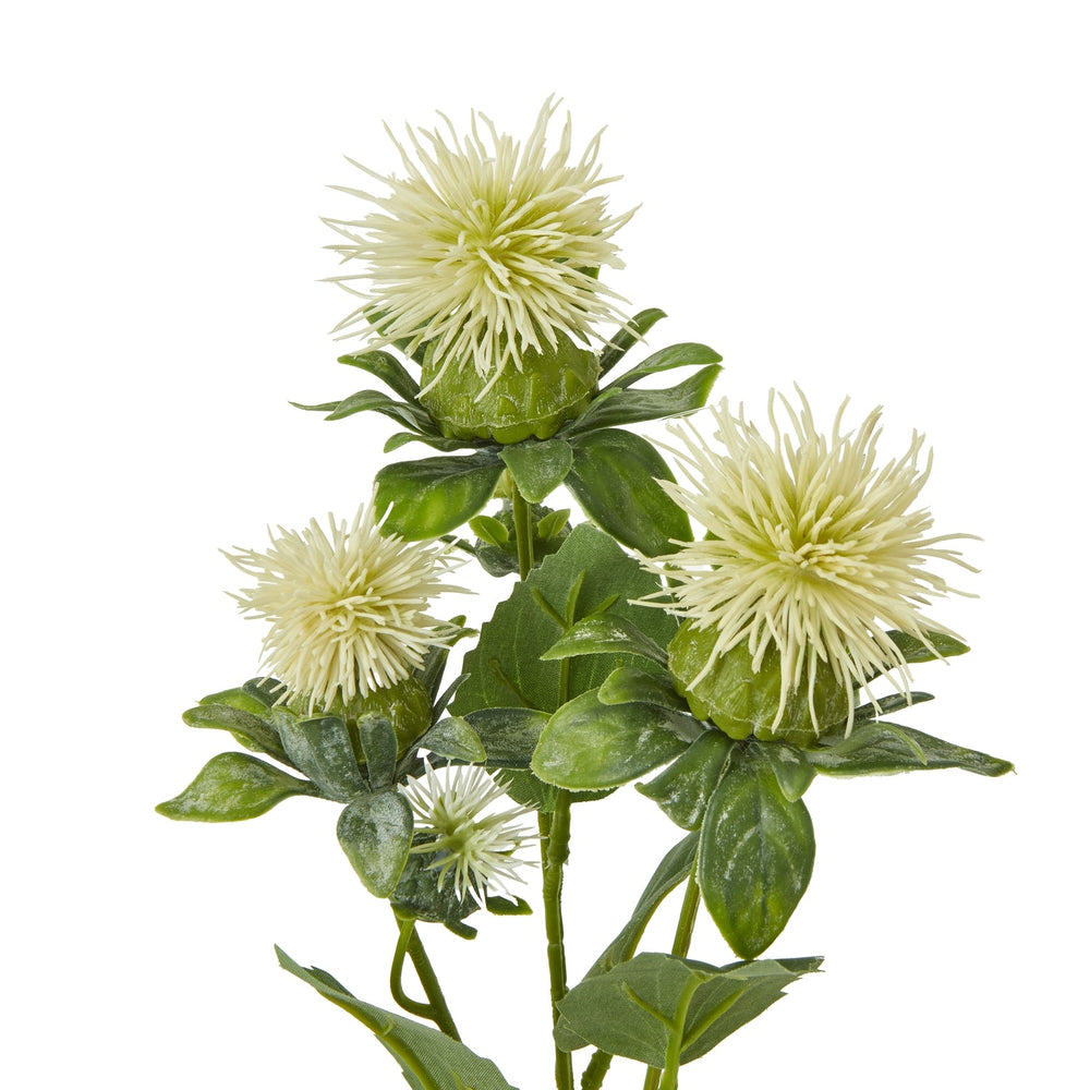Cream Safflower Spray - Canwell Interiors Limited - Hills