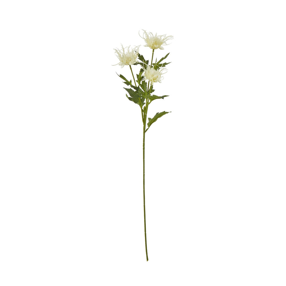 Cream Sea Holly Spray - Canwell Interiors Limited - Hills