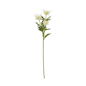 Cream Sea Holly Spray - Canwell Interiors Limited - Hills